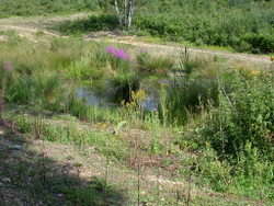 Jul 2004: Former balancing pond near Heads Hill
